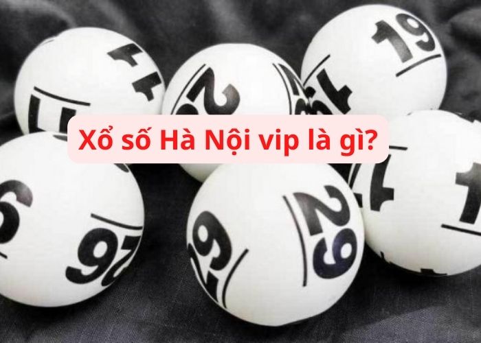 Xổ số Hà Nội Vip 79King là gì?